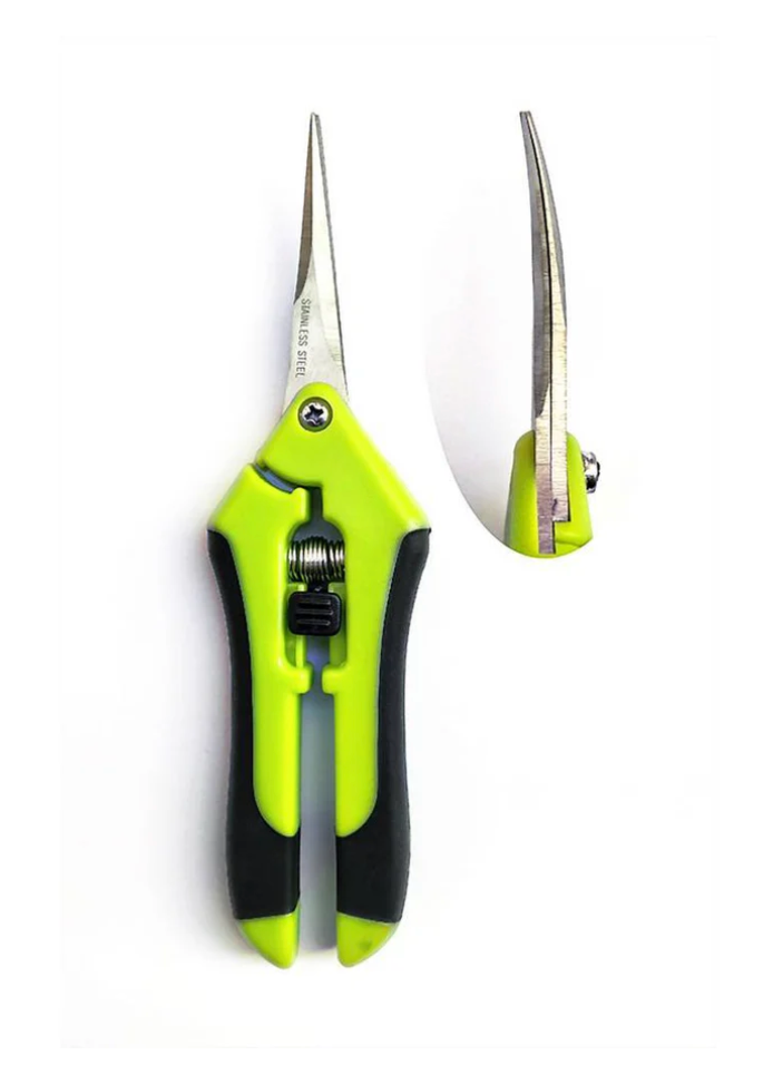 TNB Green Curved Scissors 16.5cm