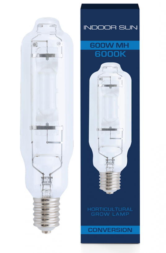 Globe - 600w Retro MH Indoor Sun 6000K