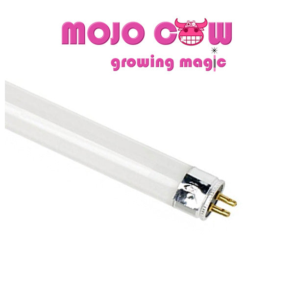 PS1 Replacement Globe 24w | Mojocow