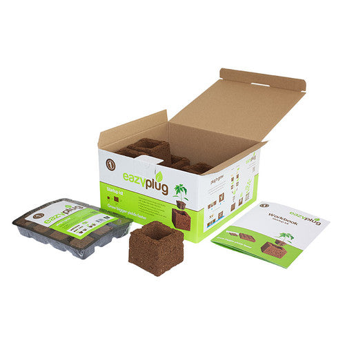 Eazy Plug Start Up box Kit