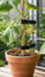 Hydro Bitz - Velcro Black Plant Ties (Bag of 25) – Reusable Premium Canopy Support