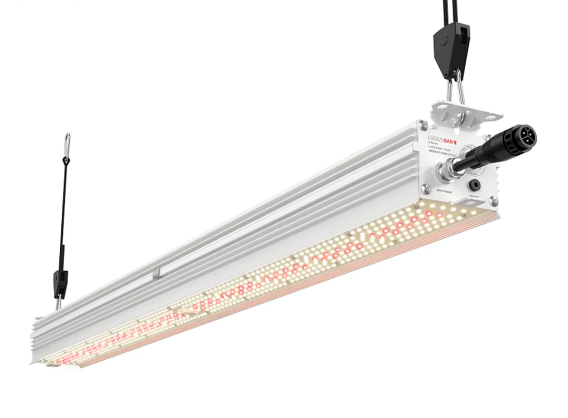 Lucius Bar R LED