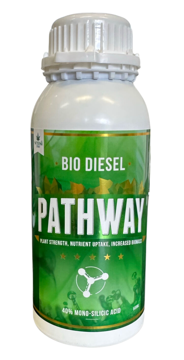 Pathway - 2ml/10L  | 40% Mono-Silicic Acid - Silica Booster