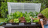 Vegepod Raised Garden Beds with Cover 2m x 1m