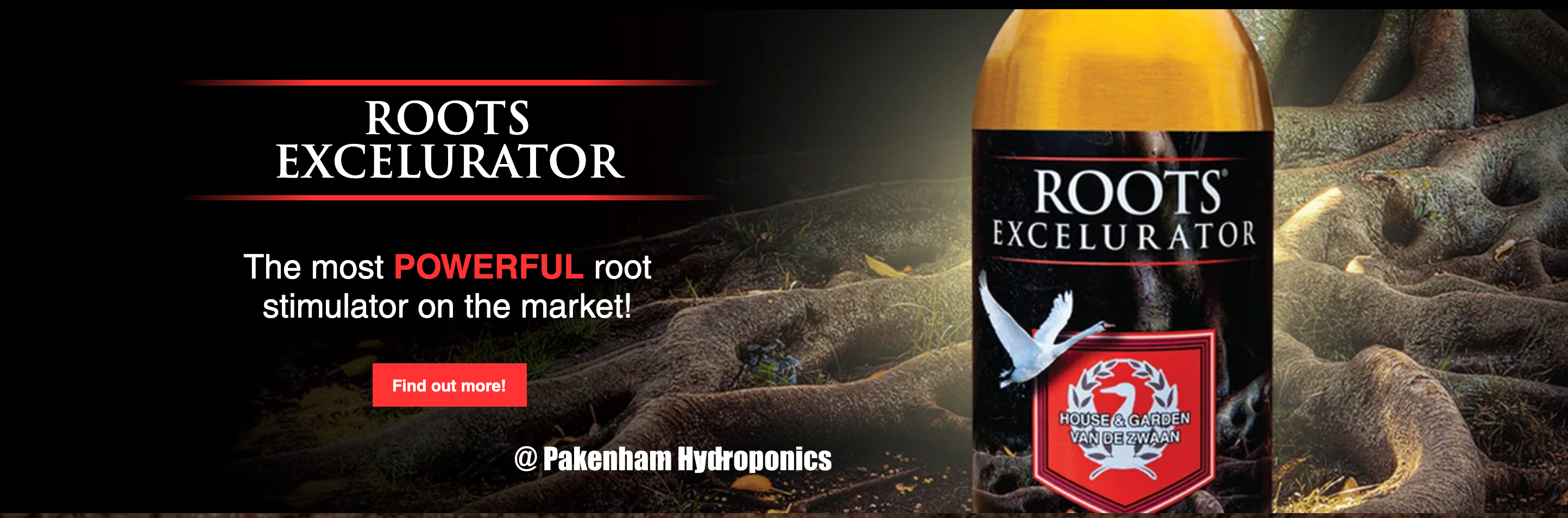 Roots Excelurator