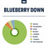 True Terpenes - Blueberry Down