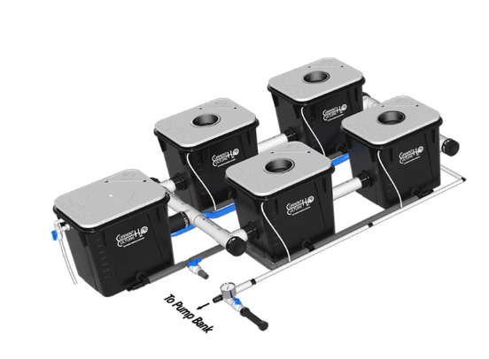 Current Culture UC 4 XXL 13 Recirculating Deep Water Culture (RDWC) System