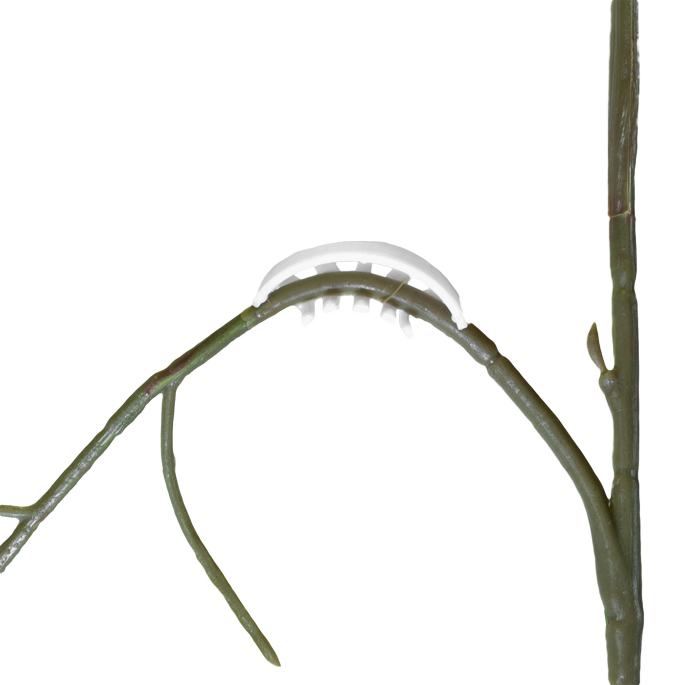 Grow Bits Plant Bends (plant trainers)