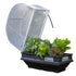 Vegepod Raised Garden Beds with Cover