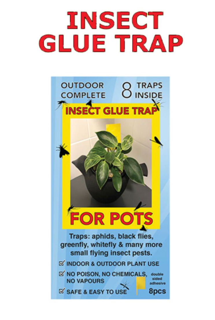Insect Glue Trap for Pots | 8 Pack