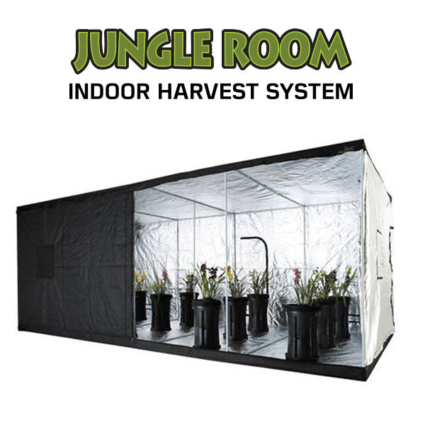 Jungle Room Standard Tent