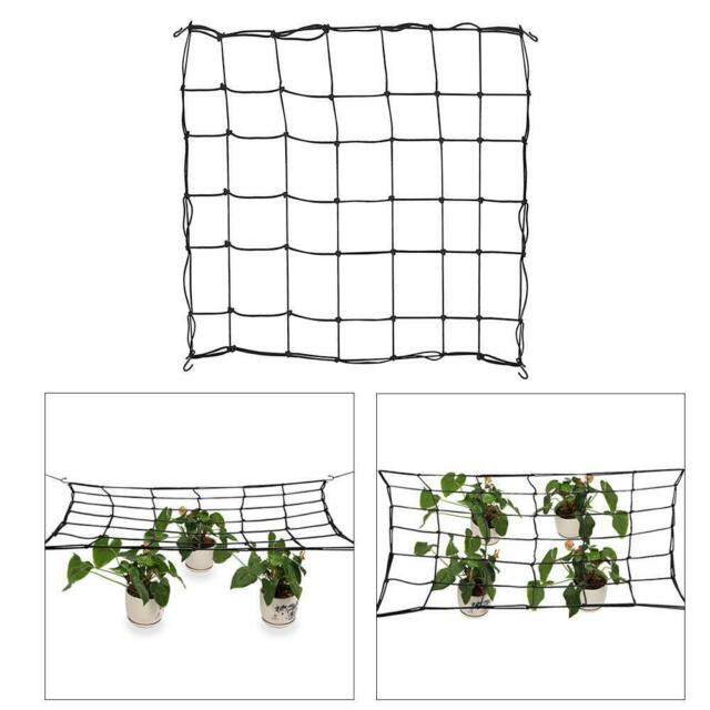 Scrog Wire Hydro Axis Scrog Netting – Pakenham Hydroponics