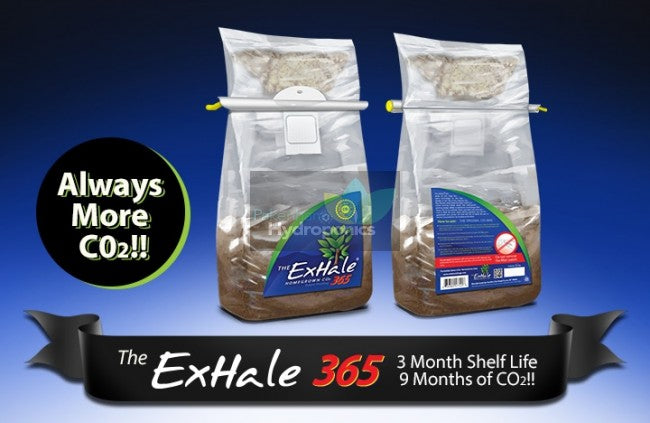 Exhale 365 CO2 Bag Regular