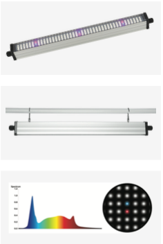 Mojocow PS1 LED Twin Bar White – Pakenham Hydroponics